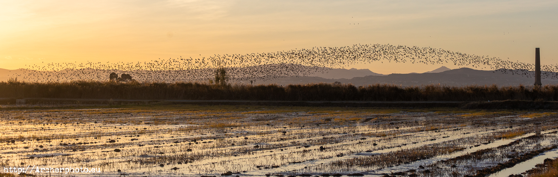 Photos of the Albufera in Valencia